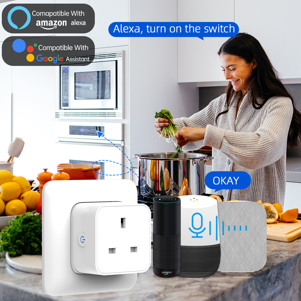 Tuya Smart Socket 16A/20A WiFi - Smart Home Or Smart Home recensie en prijs