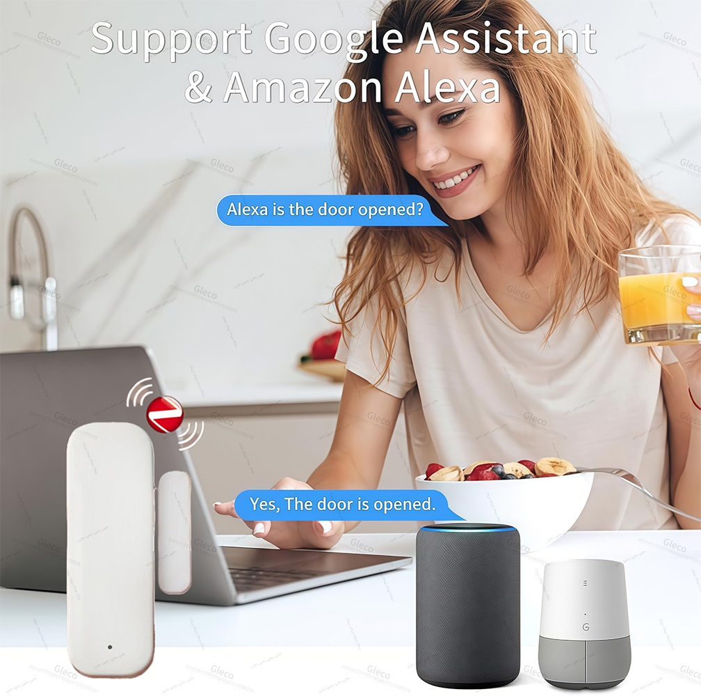 Zigbee Raamdeursensor Detectie - Smart Home Villa recensie en prijs