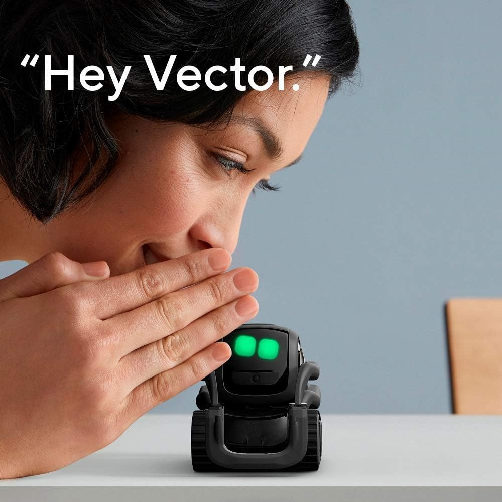 AI ChatGPT 2.0 Verbonden Robot - Smart Home Battery Camera recensie en prijs