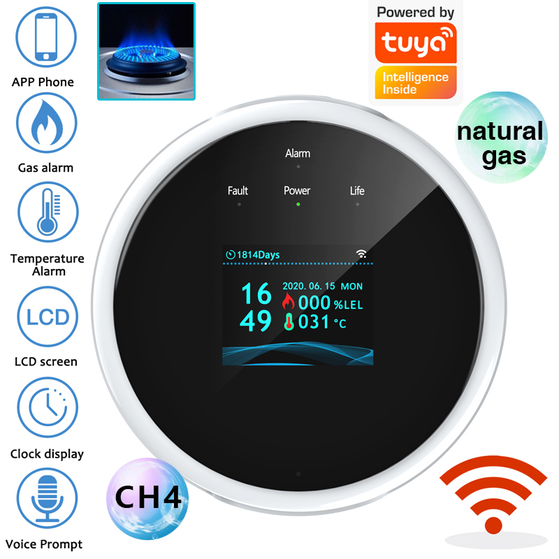 2.4G WiFi Gasalarmsensor Brand - Smart Home Full System recensie en prijs
